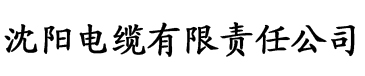 大香蕉欧美视频在线观看电缆厂logo